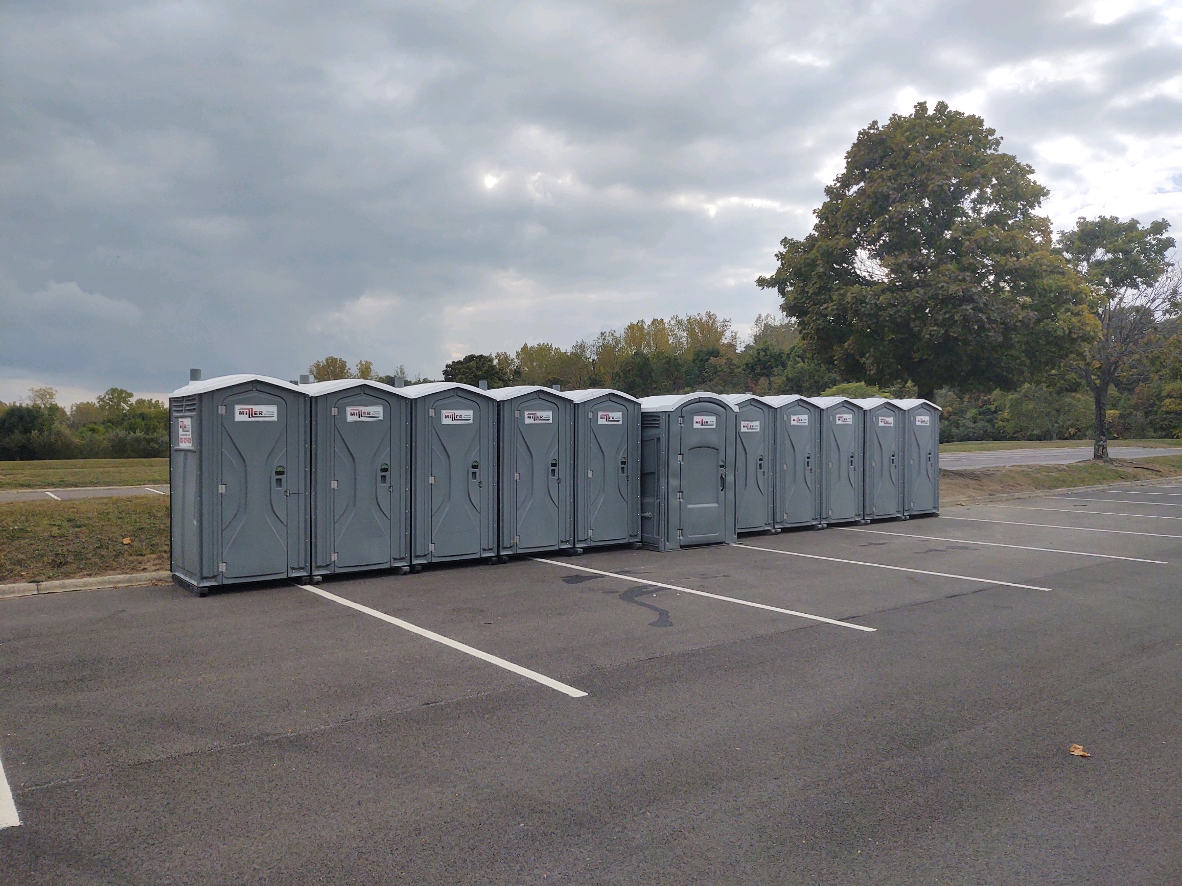 Portable toilets lined up in parking lot.